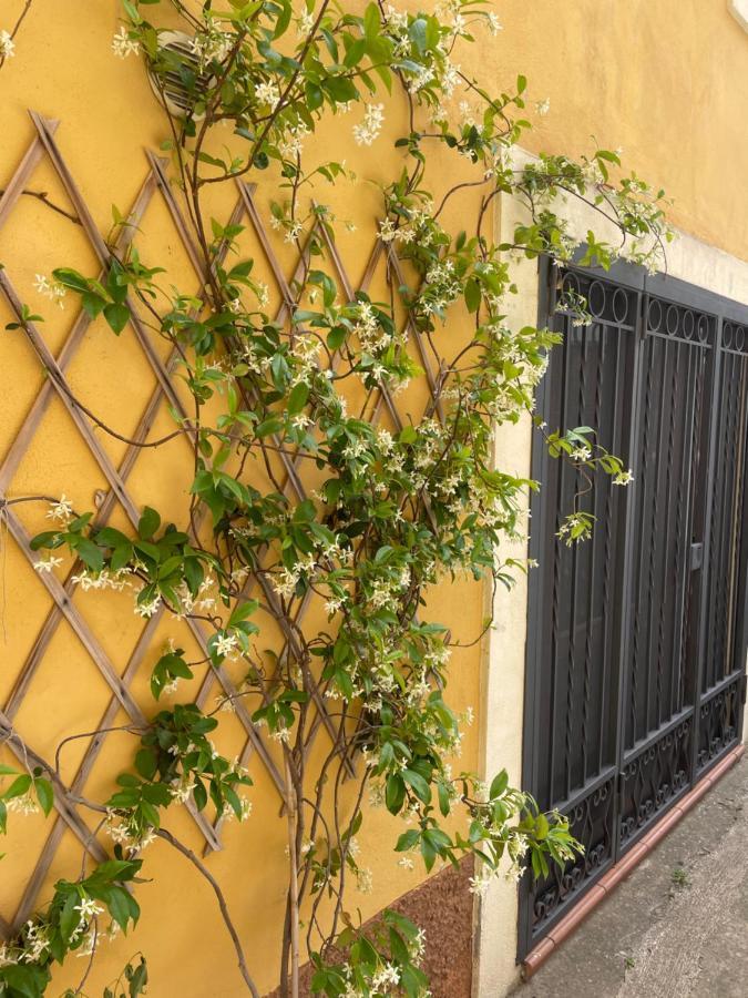 B&B Mela Roggiano Gravina Екстериор снимка